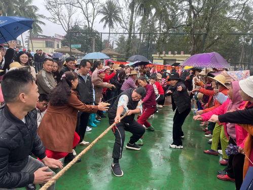 屯昌新兴镇爆料案件最新,真相揭秘，疑云重重！