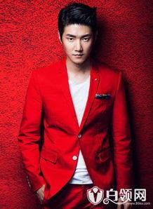 育儿经最新爆料王晰,王晰育儿经最新爆料，育儿技巧大公开